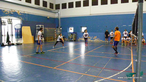 VII VOLEY PRAO