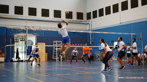 VII VOLEY PRAO