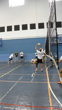VII VOLEY PRAO