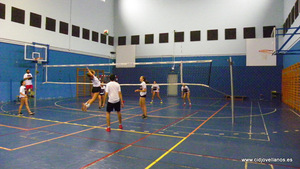 VII VOLEY PRAO