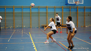 VII VOLEY PRAO