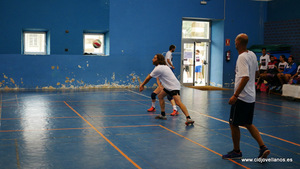 VII VOLEY PRAO