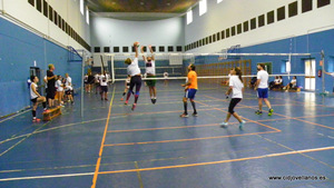 VII VOLEY PRAO