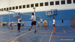 VII VOLEY PRAO