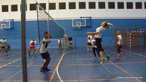 VII VOLEY PRAO