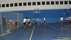 VII VOLEY PRAO