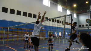 VII VOLEY PRAO