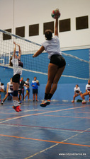 VII VOLEY PRAO