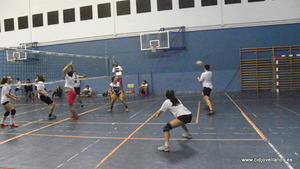 VII VOLEY PRAO