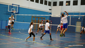 VII VOLEY PRAO