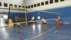 VII VOLEY PRAO