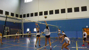 VII VOLEY PRAO
