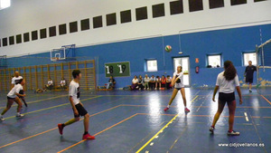 VII VOLEY PRAO